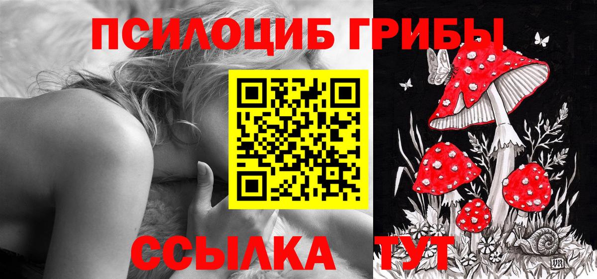 Горячий Ключ  Псилоцибиновые грибы Psilocybe  Вход с VPN 